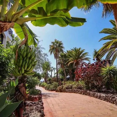 Opuncja Lägenhet San Miguel de Abona